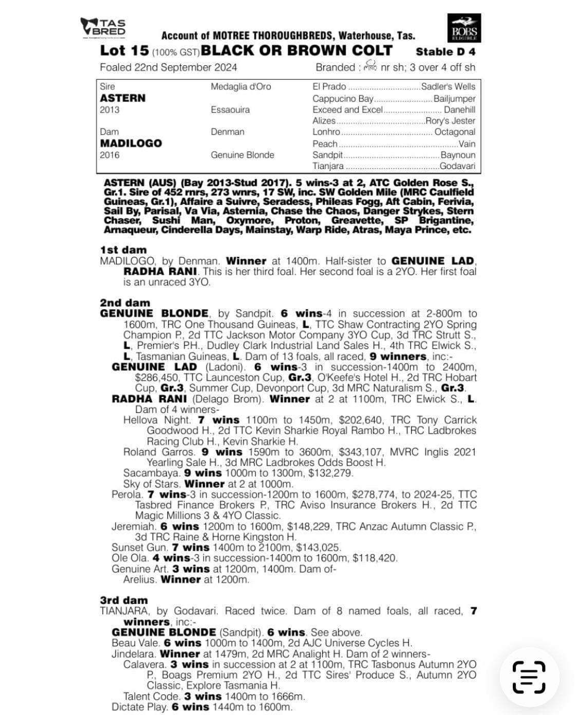 2024-ASTERN x MASDILOGO-COLT-PAGE.jpg